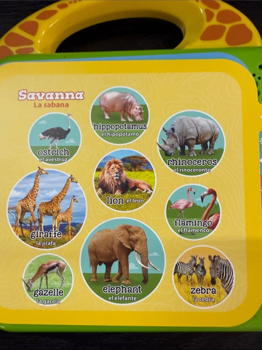 LeapFrog 100 Animals Book - Yellow & Green Interactive Learning Toy